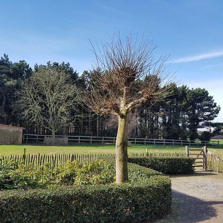 B&B Bergenhof Hoogstraten Dış mekan fotoğraf