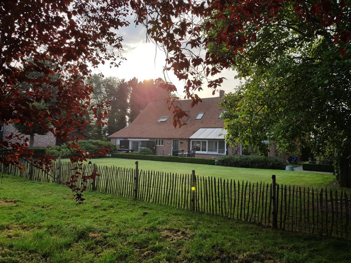 B&B Bergenhof Hoogstraten Dış mekan fotoğraf