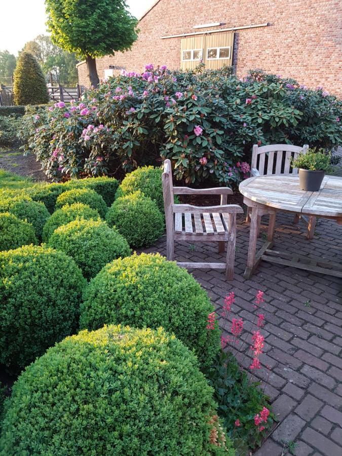B&B Bergenhof Hoogstraten Dış mekan fotoğraf