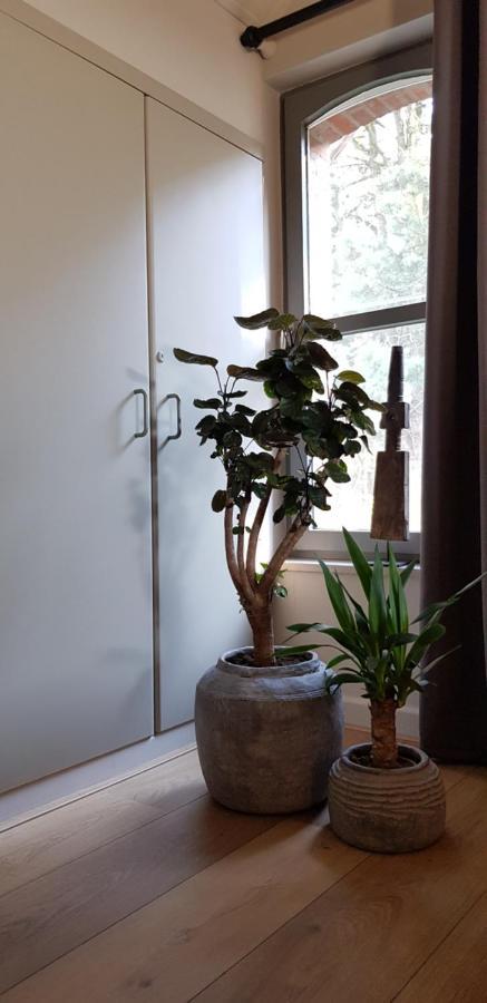 B&B Bergenhof Hoogstraten Dış mekan fotoğraf