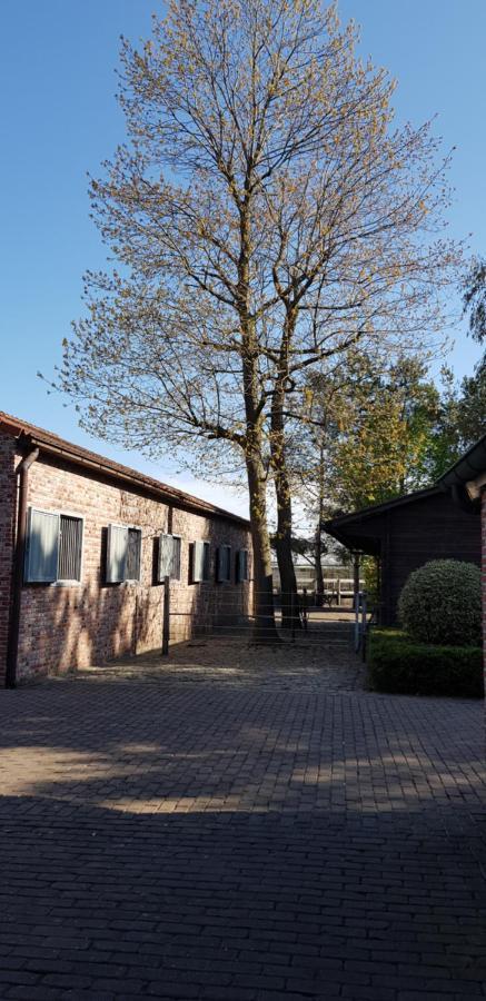 B&B Bergenhof Hoogstraten Dış mekan fotoğraf